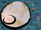 sperm.egg